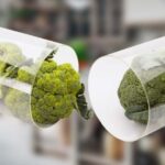 Blurred kitchen in the background, with capsule containing broccoli